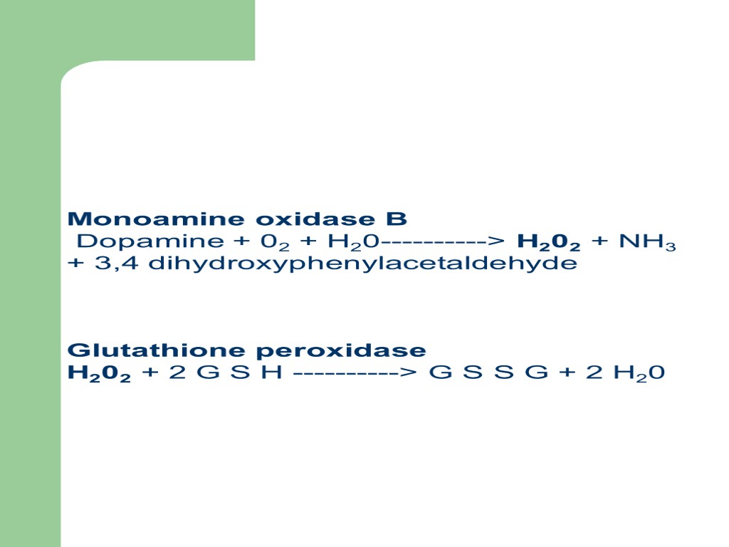 Monoamine oxidase B Dopamine + 02 + H20----------> H202 + NH3 + 3,4 dihydroxyphenylacetaldehyde